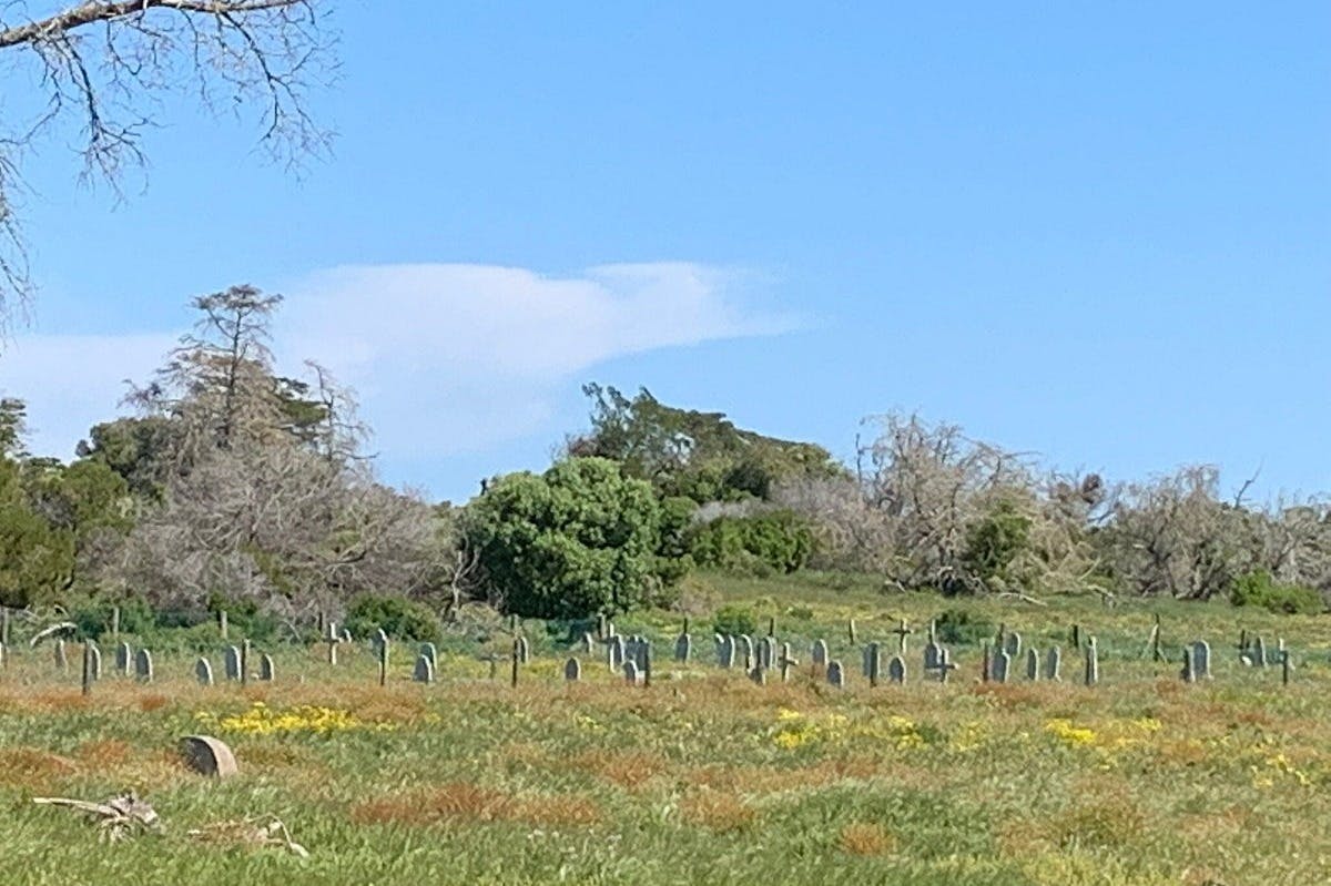 ロベン島の囚人たちの墓地