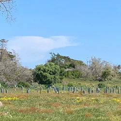 Half Day Robben Island Tour 3