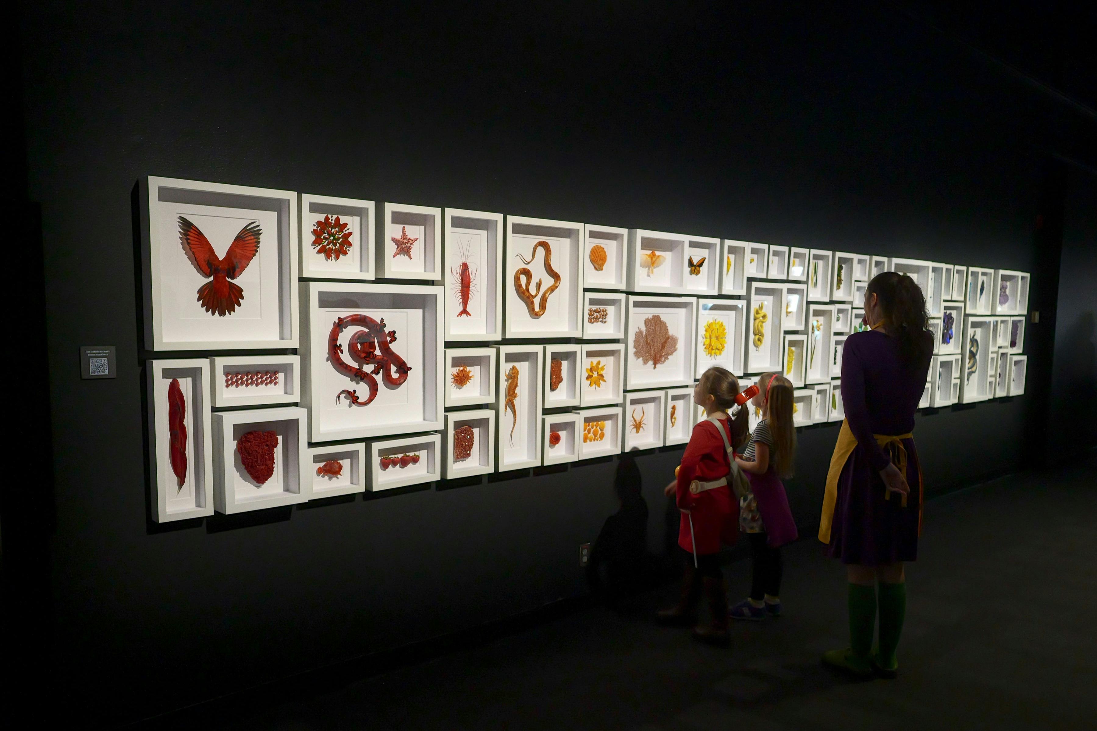 Exquisite Creatures Exhibit: Entry Ticket - Photo 7