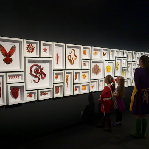 Exquisite Creatures Exhibit: Entry Ticket - Photo 7