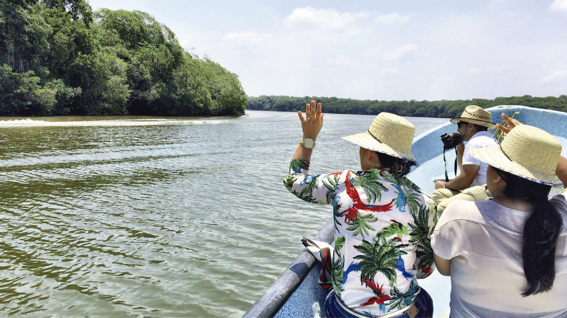 Boat tour through the Mandinga mangrove swamps
