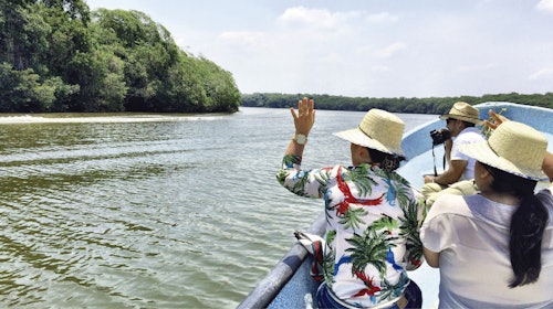 Mandinga Lake: Boat Tour + Transport from Veracruz
