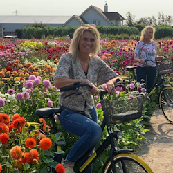 Bulb Region: Dahlia Gardens, Windmills & Castle Bike Tour