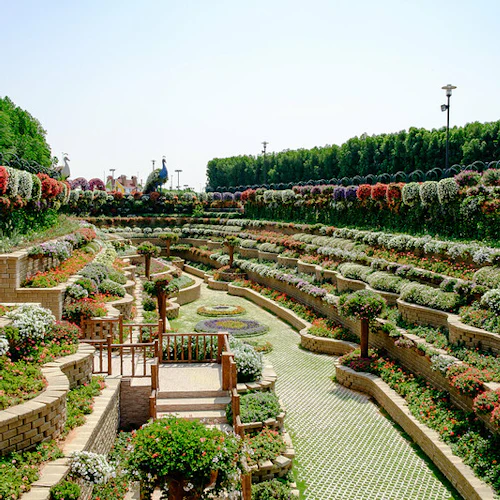 Terraced garden with cascading flower beds, colorful flowers, and neatly trimmed bushes. Pathways and a wooden gazebo are visible.