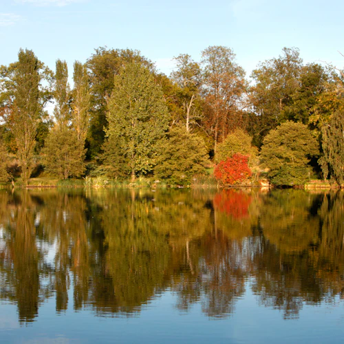 Arboretum de Chèvreloup: Entry Ticket - Photo 4