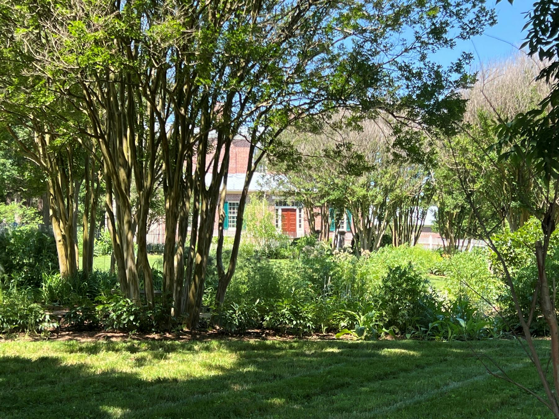 A house with red and green doors is partially visible through a dense area of trees and greenery, with a well-maintained lawn in the foreground.