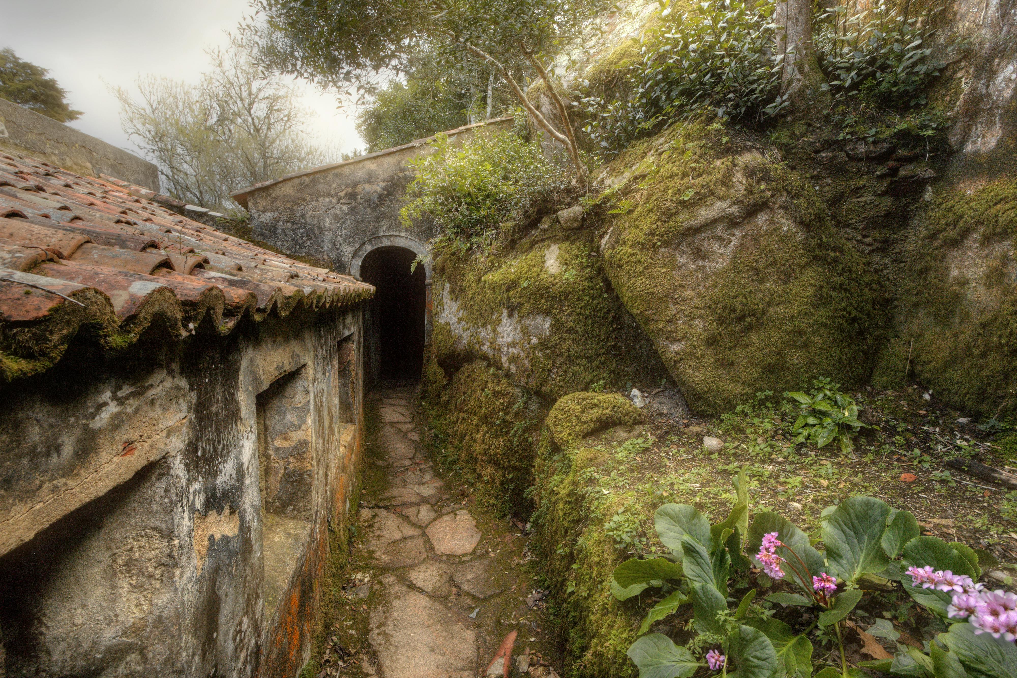 Uno stretto sentiero di pietra conduce a una porta ad arco attraverso un vecchio muro di pietra, circondato da rocce ricoperte di muschio e da vegetazione.