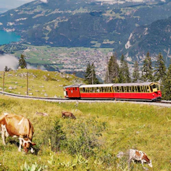 Schynige Platte: Roundtrip Rack Railroad From Wilderswil 2