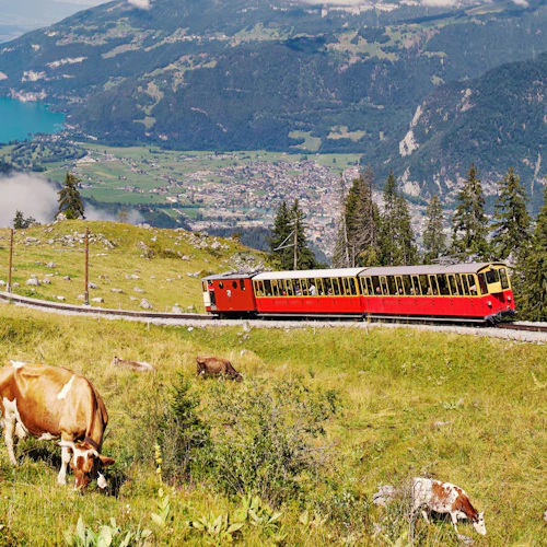 Schynige Platte: Roundtrip Rack Railroad From Wilderswil - Photo 2