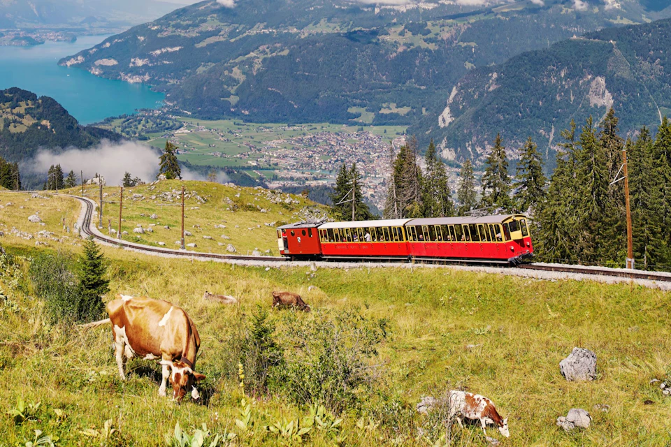 Schynige Platte