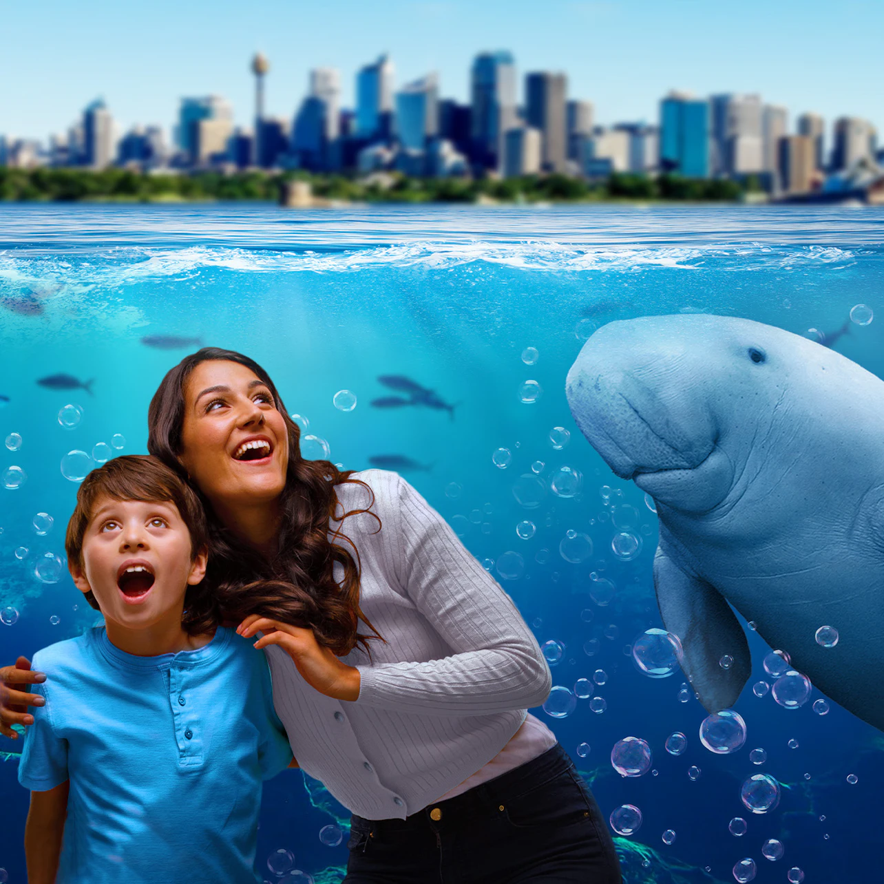 Sydney: Multi-Attraction Pass with 2,3 or 4 Attractions in Sydney β Tiqets