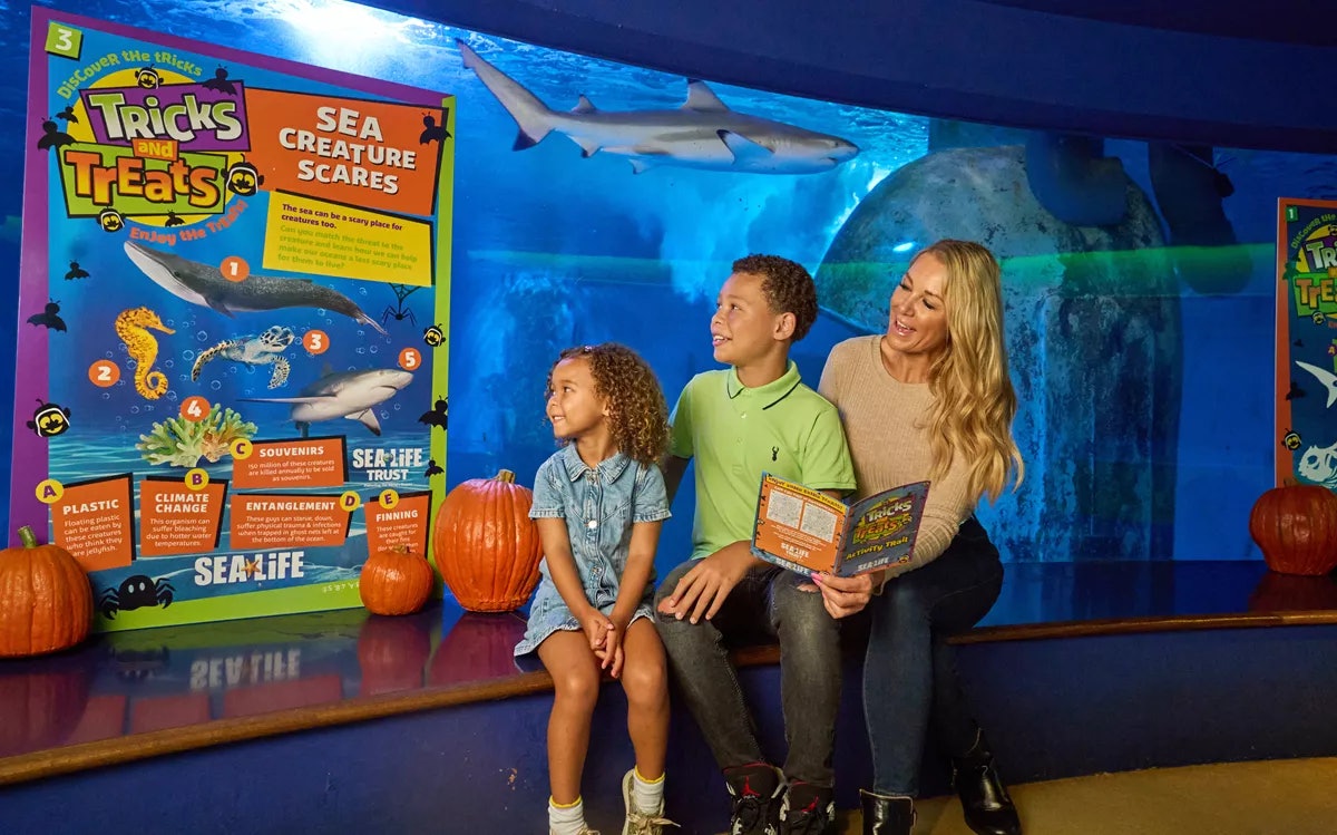 SEA LIFE Aquarium no American Dream: Admissão geral
