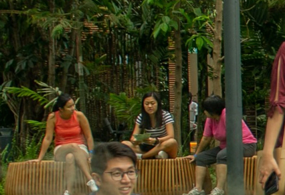 People relaxing and walking on grass in a large indoor garden with trees and mist under a geometric glass roof.