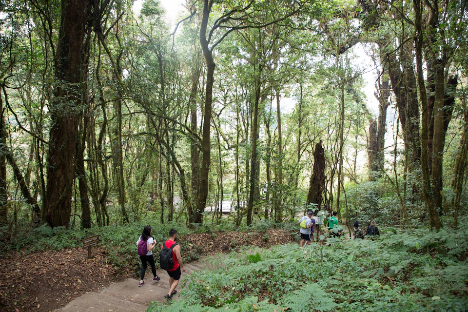 Angka Nature Trail