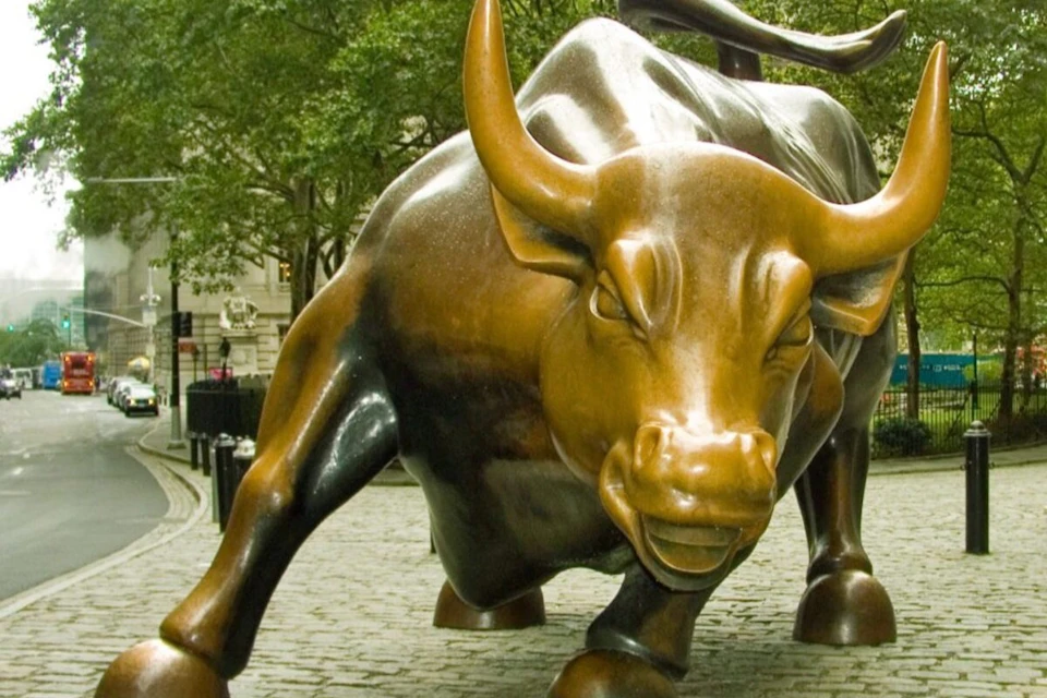 Charging Bull