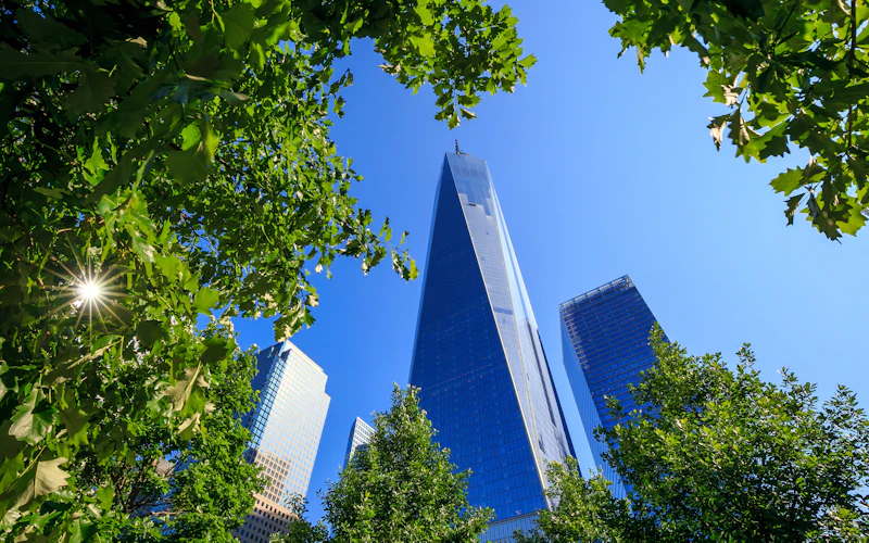 Pass Piattaforme di Osservazione NYC