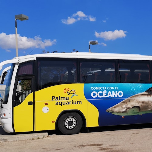 Palma Aquarium: Entrada + Traslado Alcudia - Puerto Pollensa