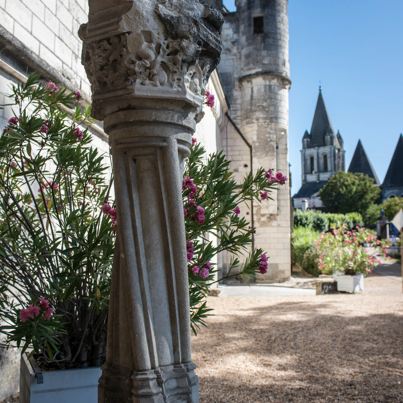 Gallery preview 3 of Cité royale de Loches