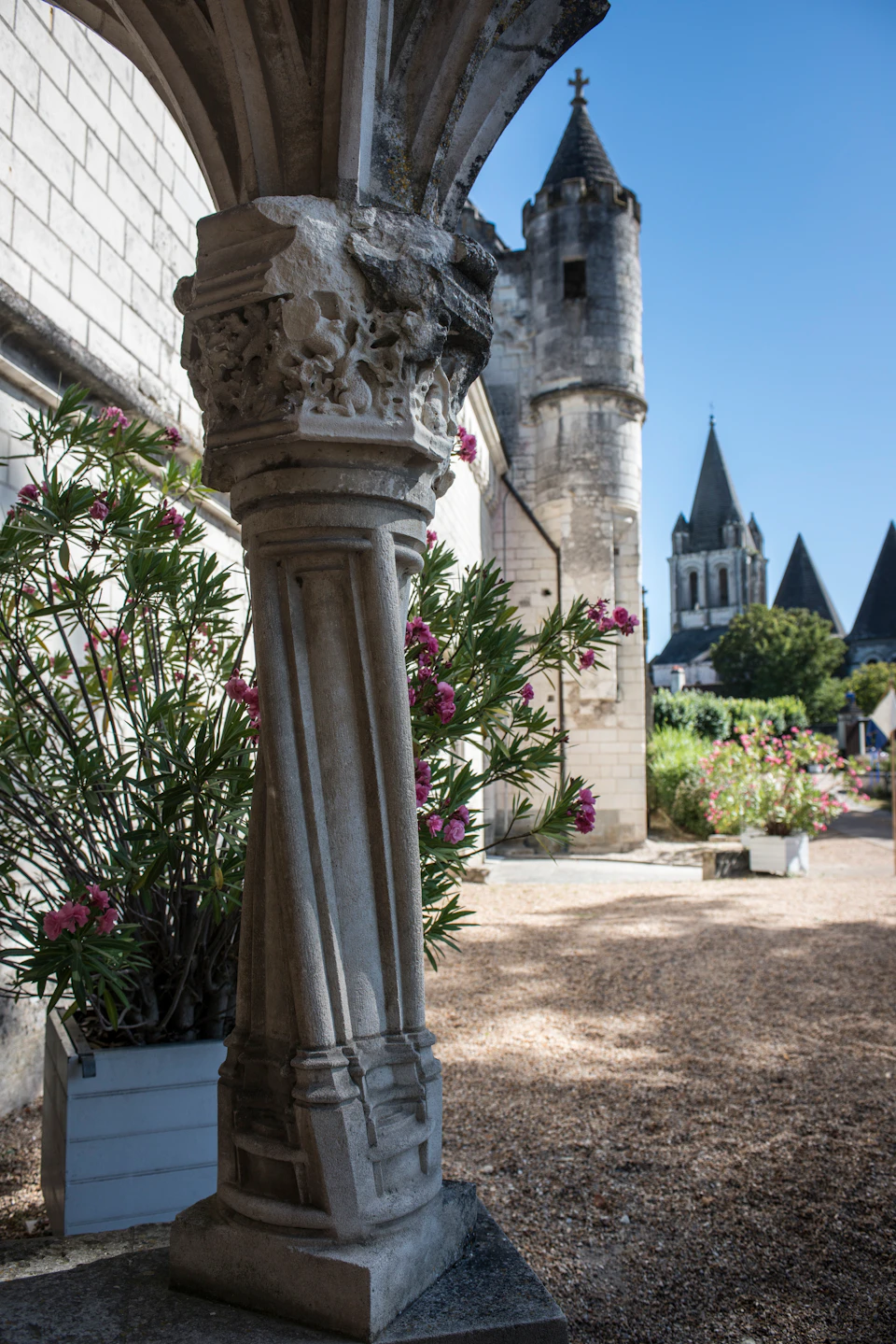 Stone column with intricate carvings and flowering plants in pots; background features a pathway and historic buildings with towers.