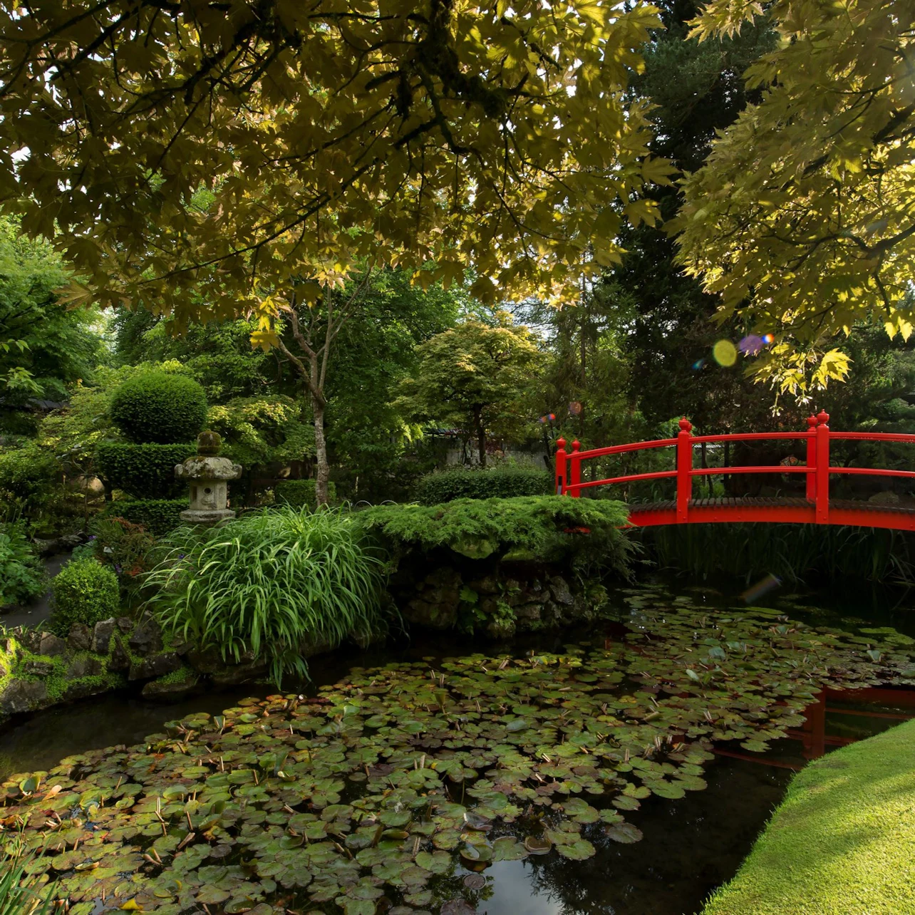 Irish National Stud & Gardens: Entry Ticket in County Kildare β Tiqets