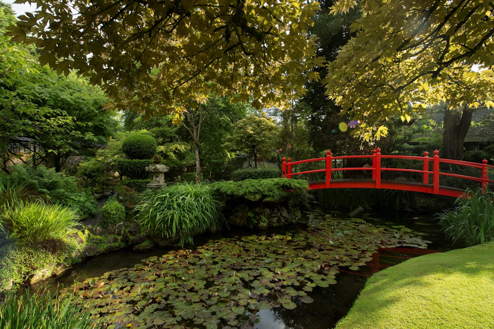 Visit our Japanese Gardens