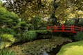 Visit our Japanese Gardens 