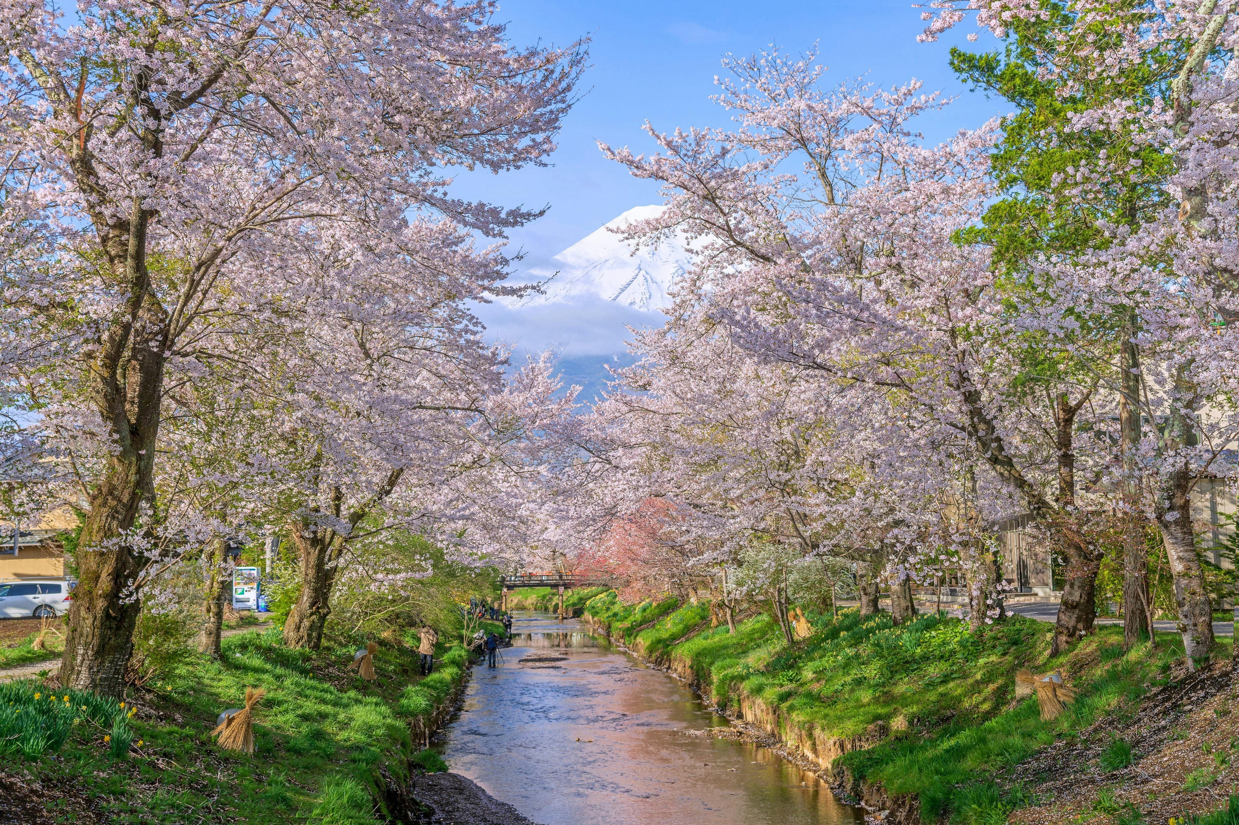 Monte Fuji e Gotemba Premium Outlets: Visita guiada de um dia a partir de Tóquio + Cerimónia do Chá - Photo 3