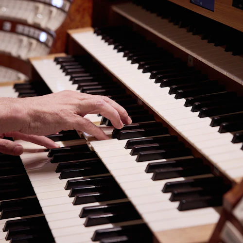 St. Stephen's Cathedral: Giant Organ Concert - Photo 7