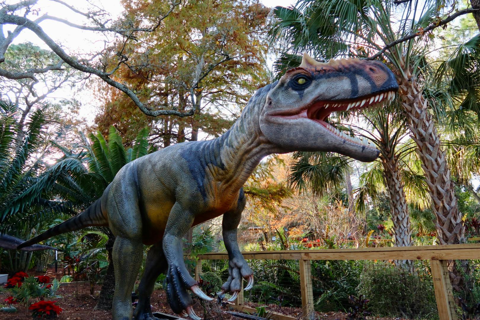 Tickets for ZooTampa Tiqets