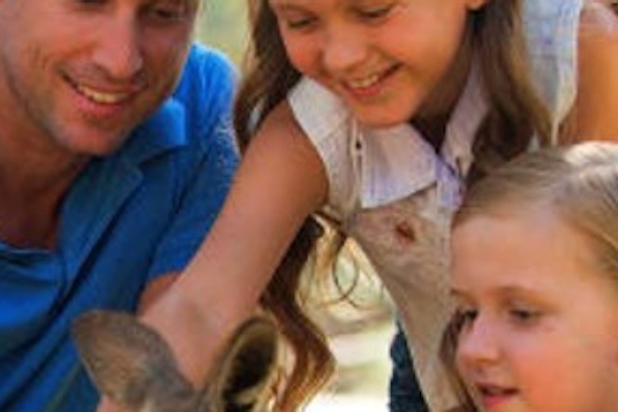 Tickets für Paradise Country (Gold Coast)