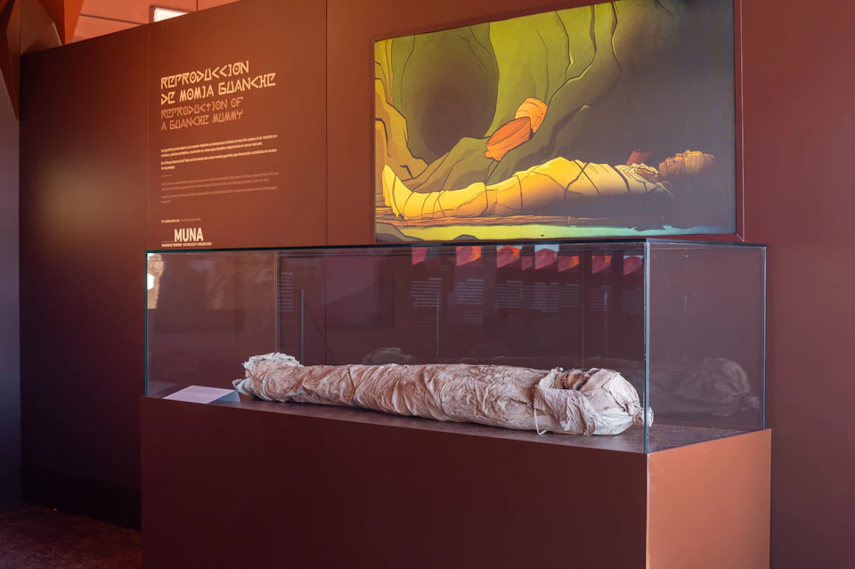 A mummified body in a glass display case, with informational text and artwork of a mummy on the wall behind it.