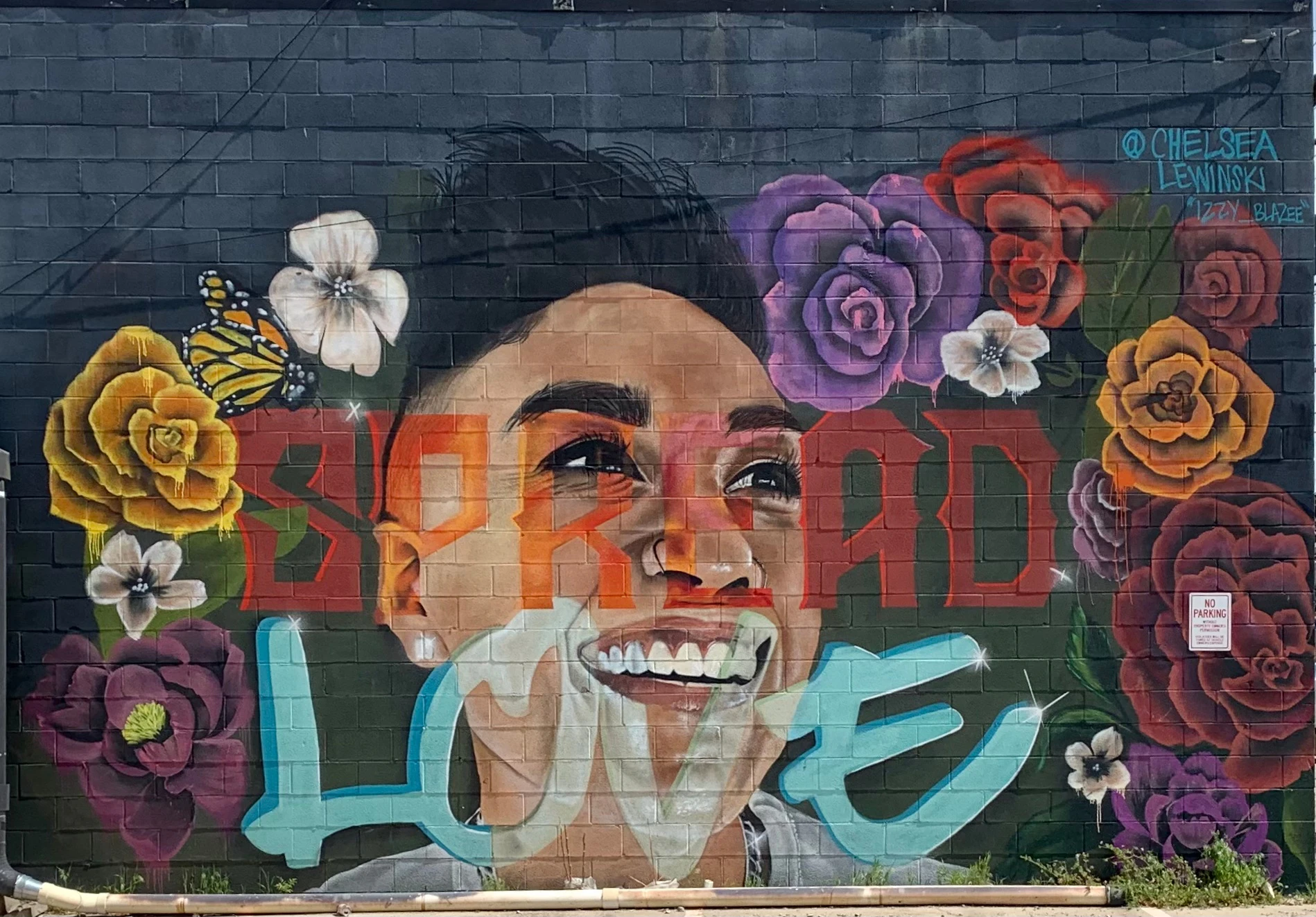 Graffiti de Denver: Visita Guiada Original