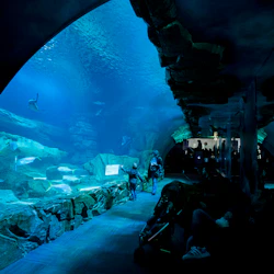 Aquarium de Paris: Entry Ticket in destination