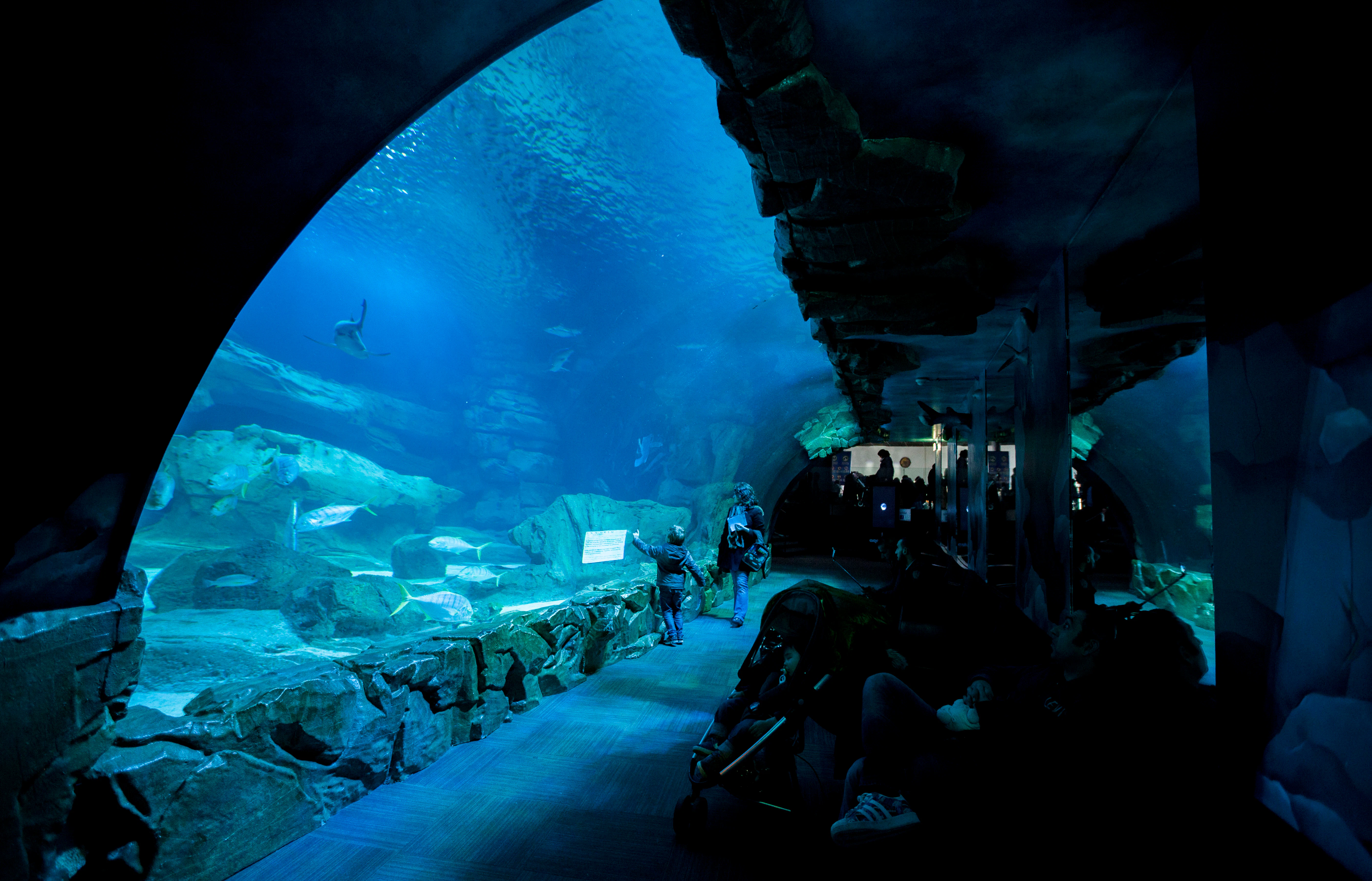Aquarium de Paris: Entry Ticket