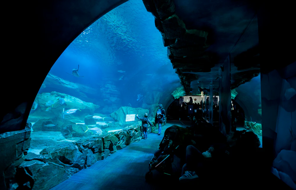 Aquarium de Paris + Grande Galerie de l'Évolution — Bundles  in Paris