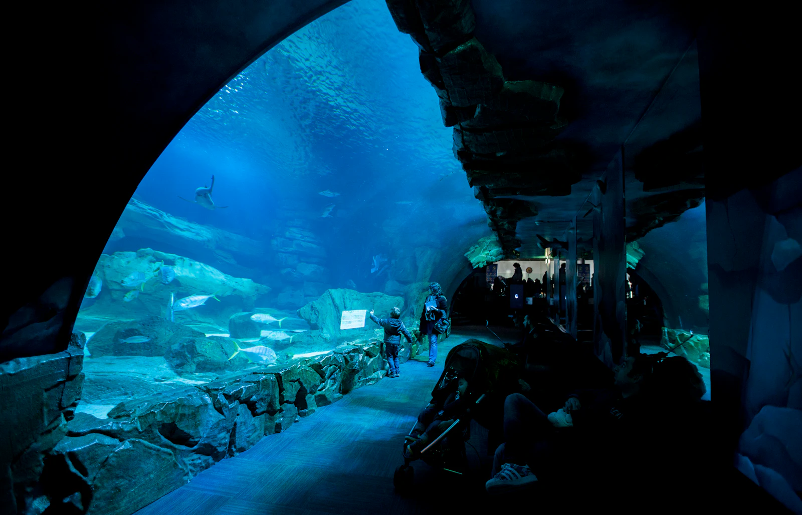 Aquarium de Paris + Grande Galerie de l'Évolution