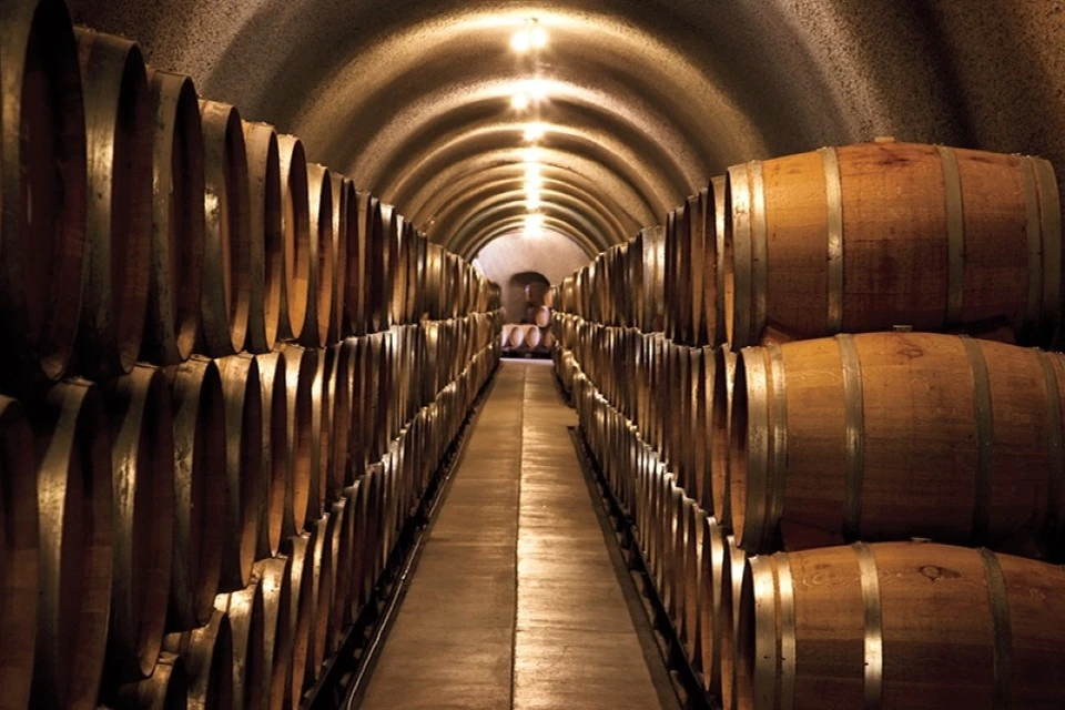 Full Day Wine Tour from San Francisco