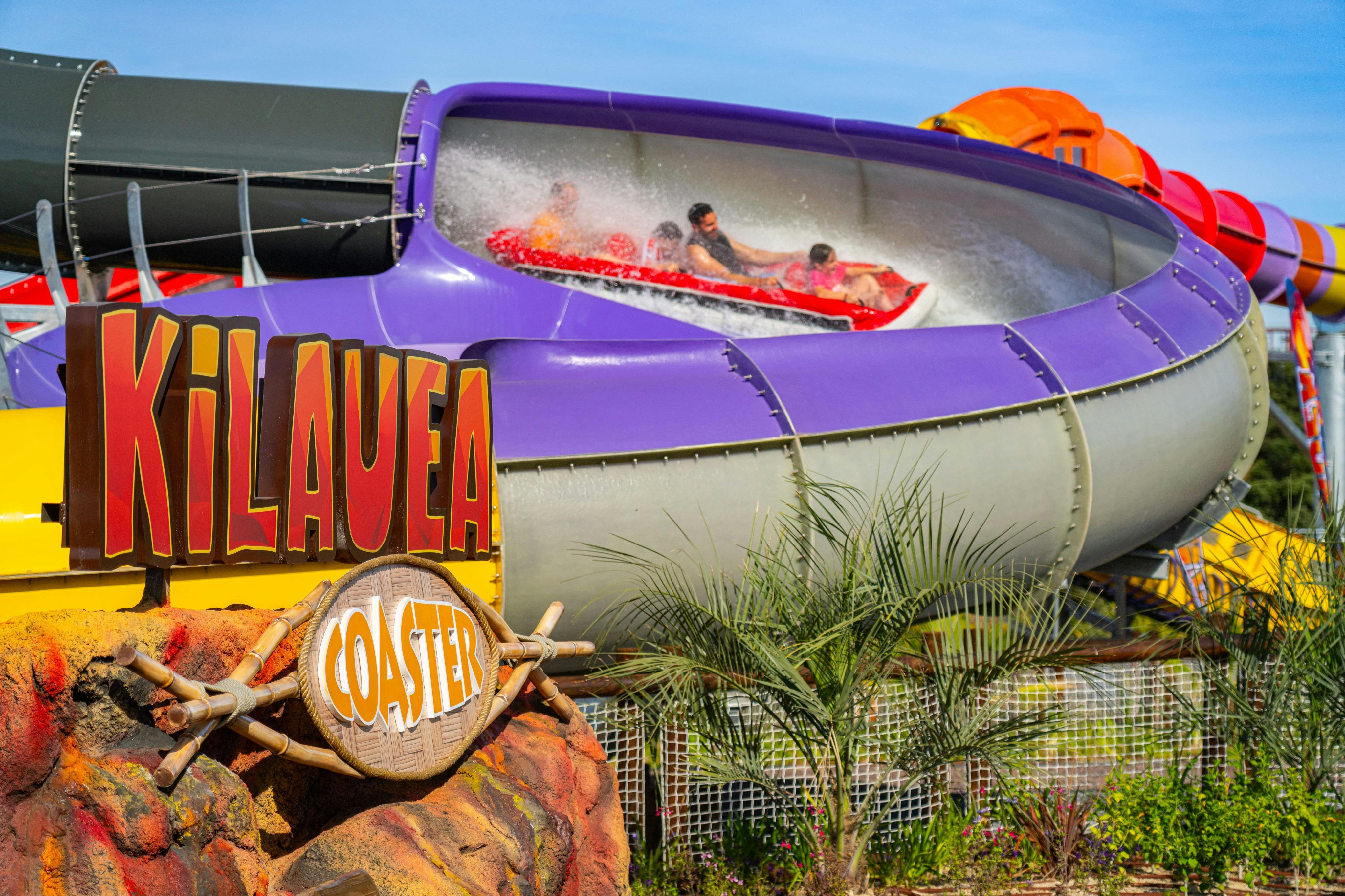 Folk kører på en vandrutsjebane kaldet "Kilauea Coaster" med et lilla rør, levende skiltning og tropiske planter i udsigt.