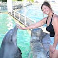 Miami Seaquarium Möt en delfin