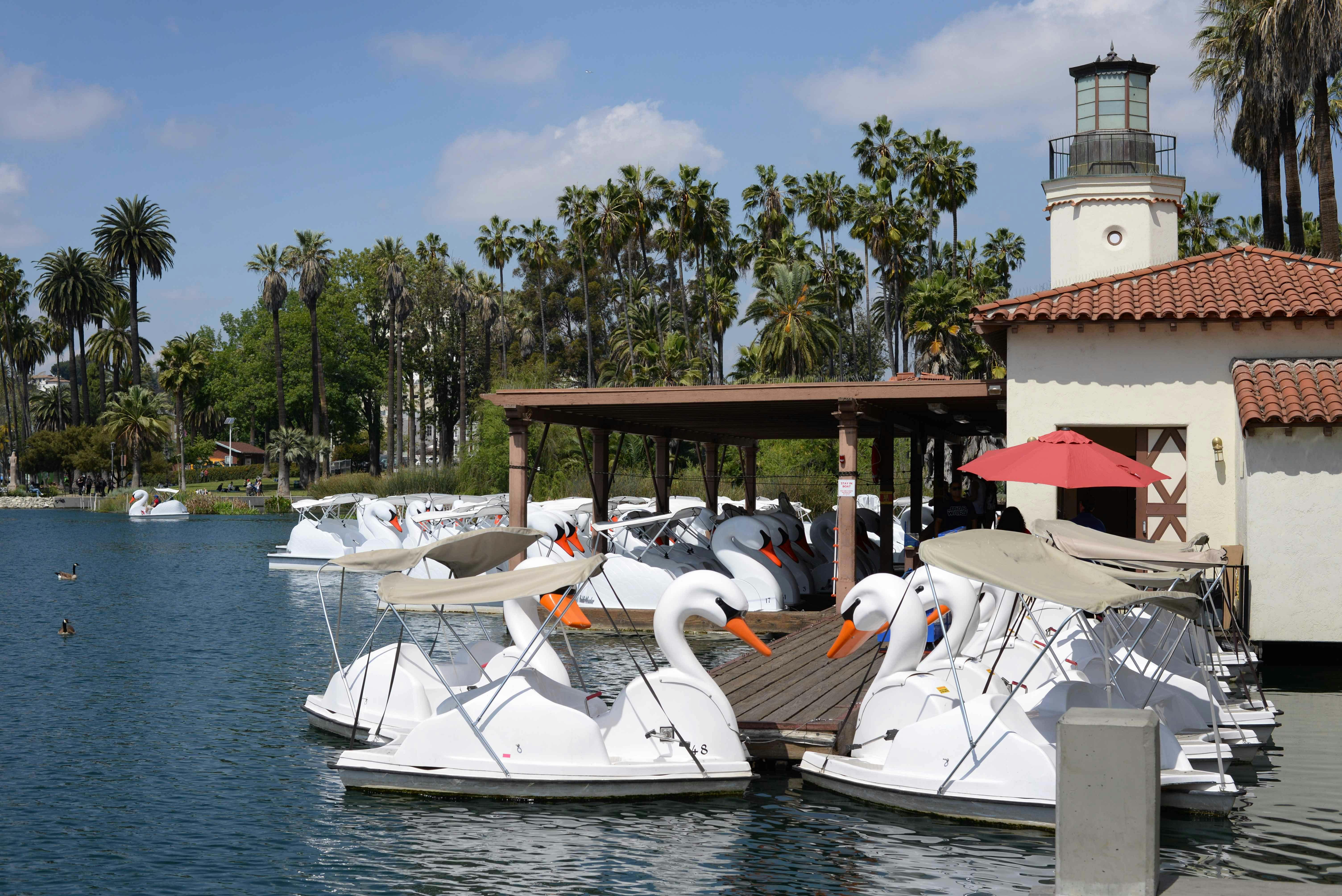 Los Angeles Echo Park Swan Boats Rental Tickets