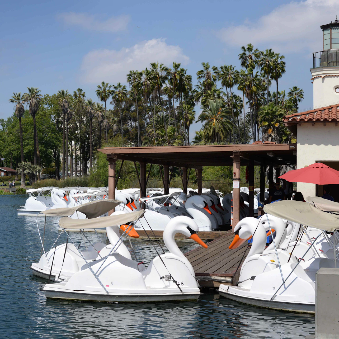 Los Angeles Echo Park: Swan Boats Rental in Los Angeles β Tiqets