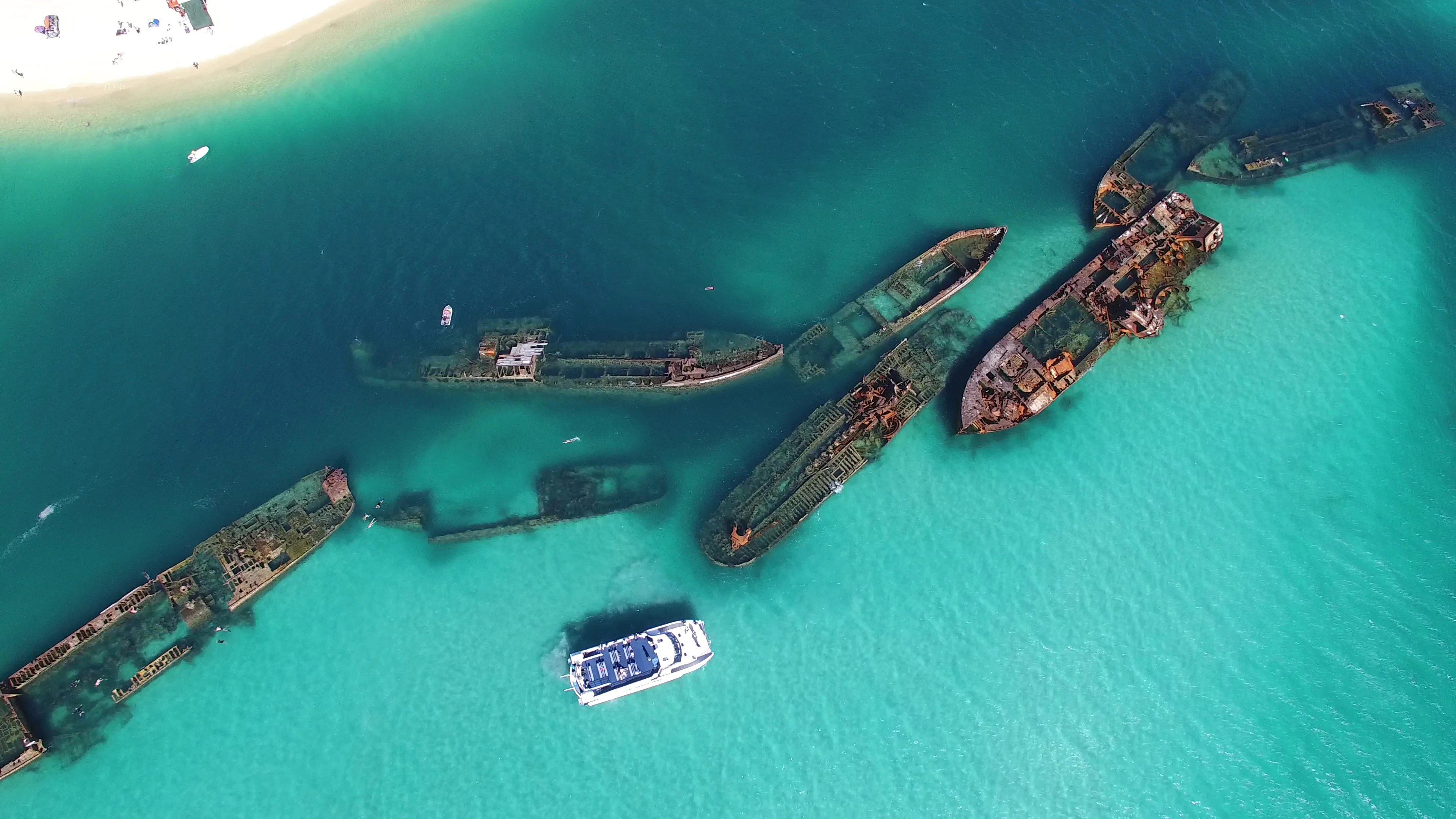 Tangalooma Wrecks & Dolphin Cruise from Brisbane