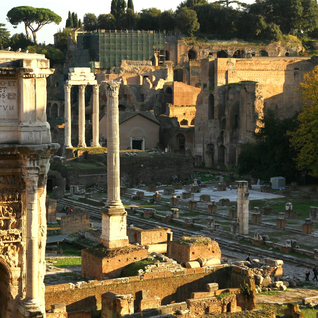 Colosseo e Foro Romano: Visita Guidata - Alloggi in Roma
