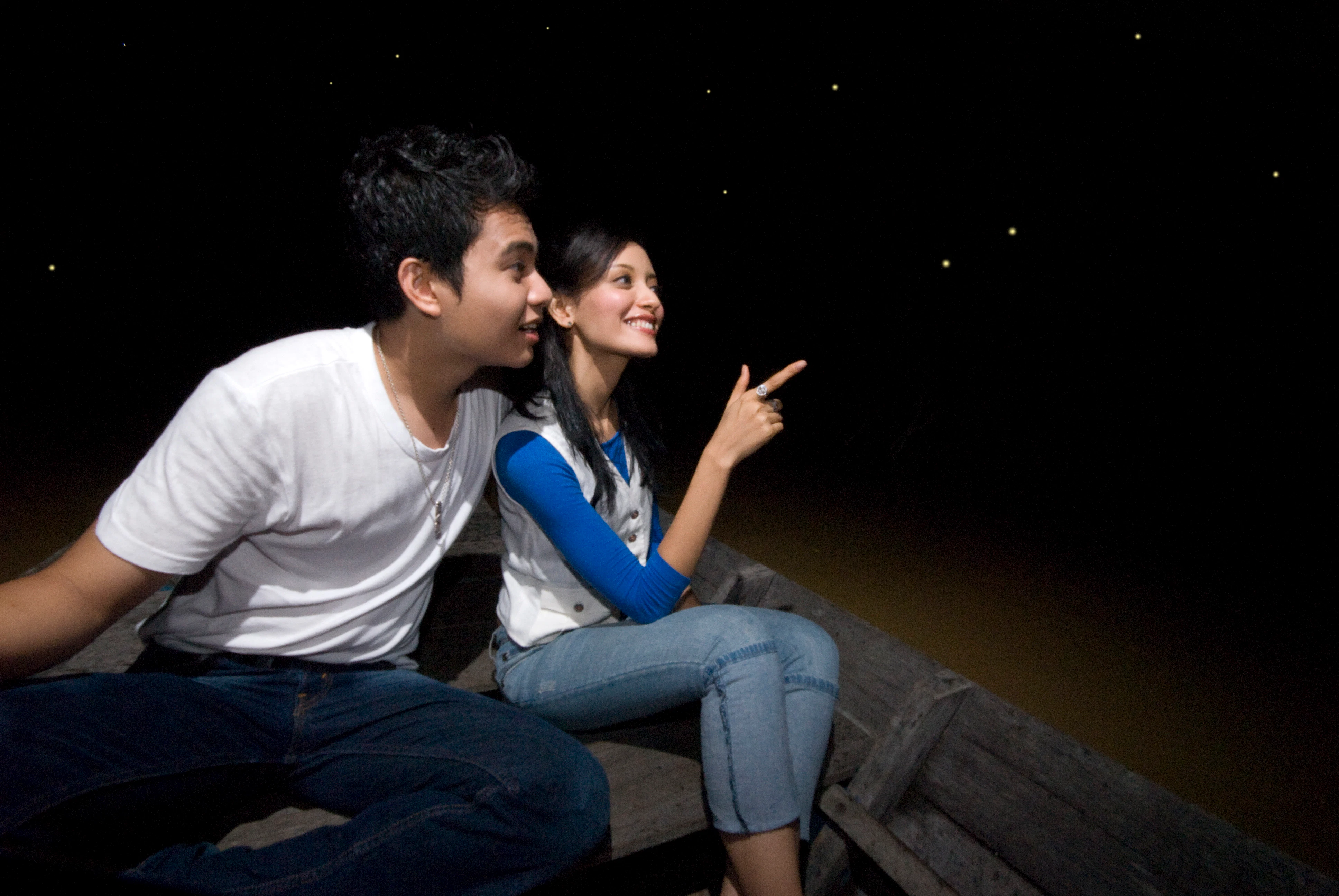 Kuala Selangor Fireflies and Blue Tears Guided Tour with Dinner