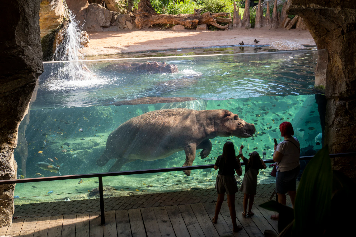 Bioparc Valencia: Fast Track Ticket