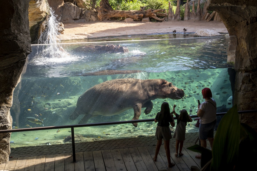 Bioparc Valencia Tickets