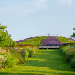 RHS Garden Wisley: Entry Ticket 3