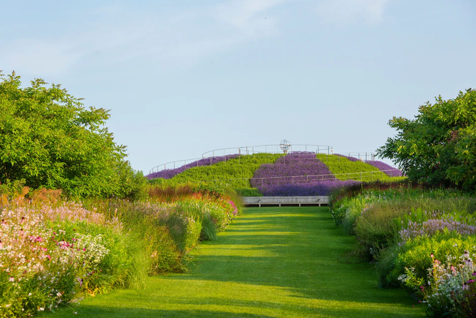 A manicured lawn leads to a hill covered in green and purple blooms, bordered by lush plants under a clear blue sky.