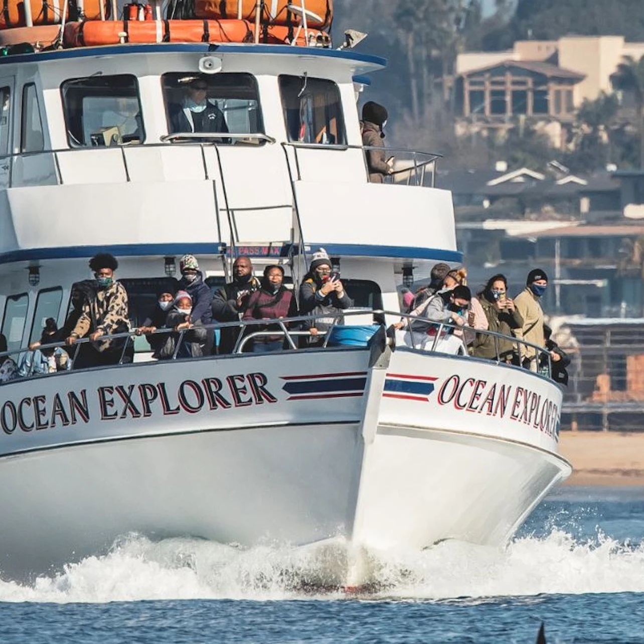 Newport Beach: Year-Round Whale and Dolphin Cruises in Los Angeles β Tiqets