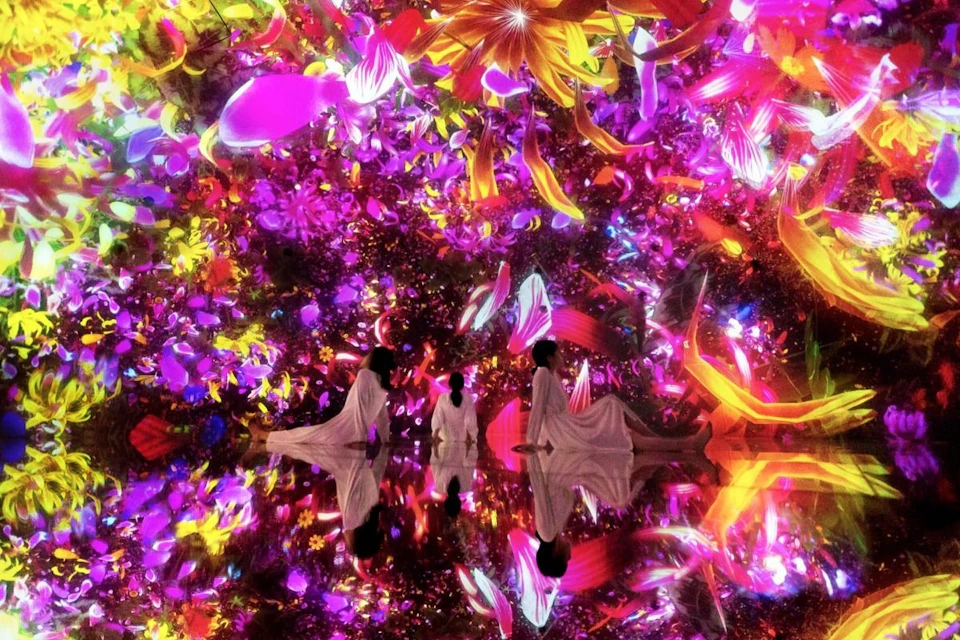 teamLab Premium Pass